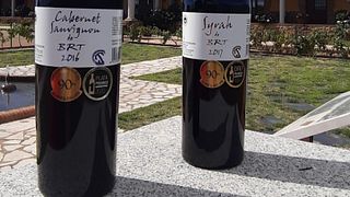 Visita e degustação de vinhos nas Bodegas Ruiz Torres