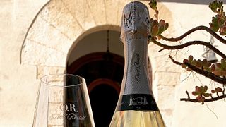 Cata de vinos y visita guiada a Cava Oriol Rossell