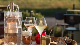 Degustazione di vini e visita al Domaine Vintur