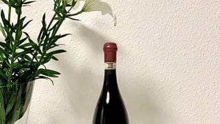 Dégustation de vins et visite à la Cantina Tessere