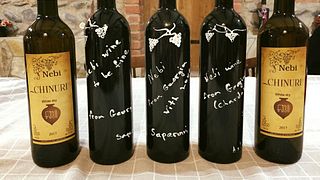 Cata de vinos y visita guiada a la bodega Nebi