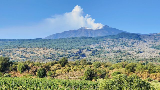 Visita histórica al viñedo Etna DOC y degustación en Casale 120
