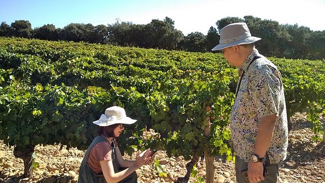 Aix En Provence – Monte Santa Victoria