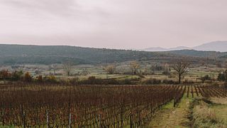 Dégustation de vins méditerranéens au domaine Krolo