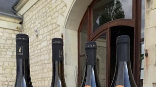 Loire Valley Vineyard Tour & Premium Wine Tasting