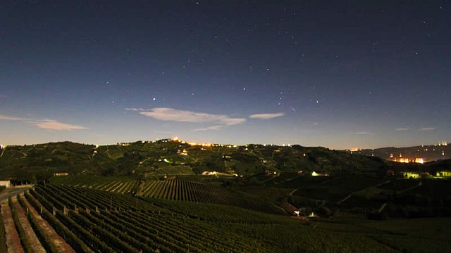 Degustação de vinhos ricos na vinícola Matteo Soria