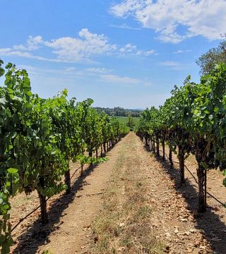 Weinprobe in Woodenhead