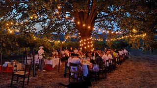Enjoy a Lombardy Wine Brunch with Local Dishes