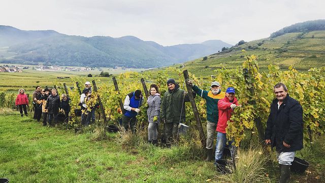 Domaine Schmitt-Carrer