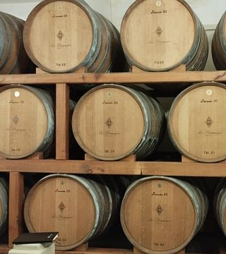 Tour Privado de Vinhos Bairrada e Aveiro