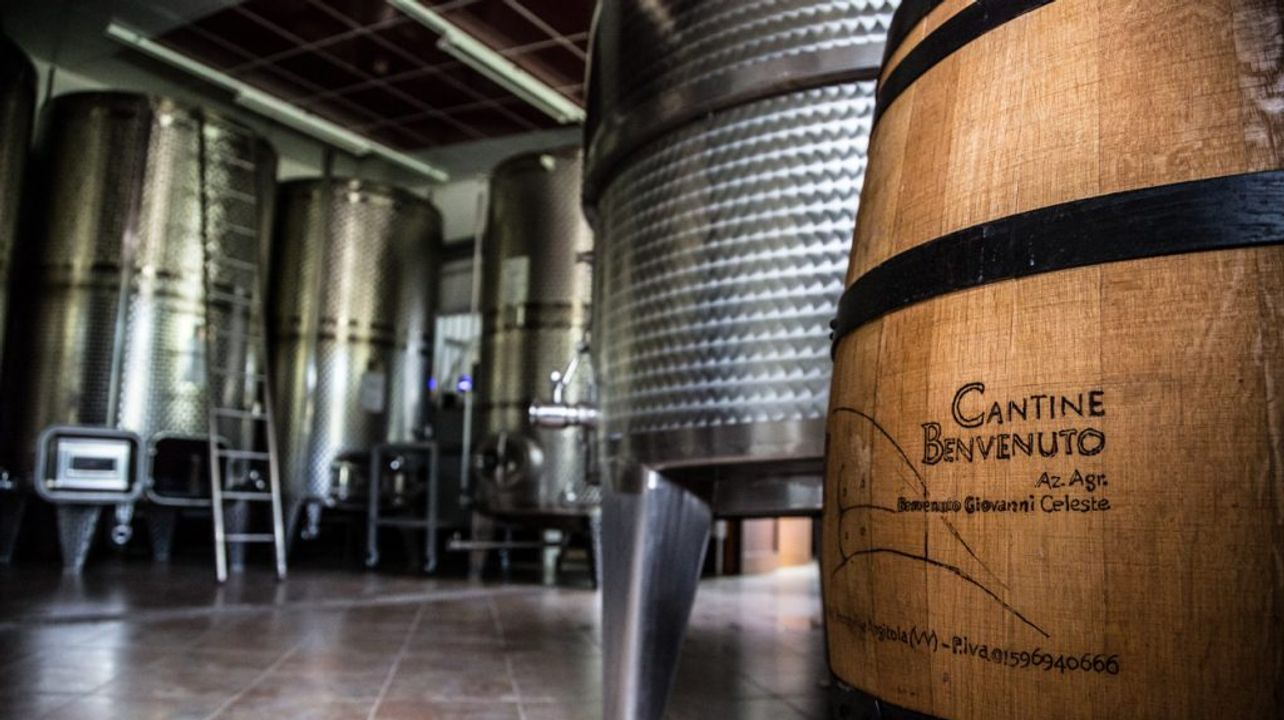 Visita alle Cantine Benvenuto per una degustazione di vini