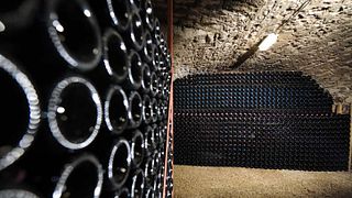 Degustazione di champagne e visita allo Champagne Falmet-Collot