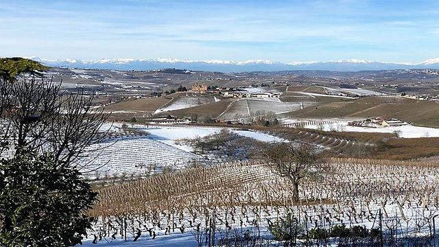 Abrigo Giovanni Winery