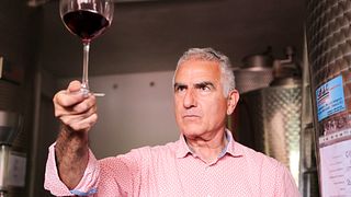 Degustação de vinhos e passeio pelos vinhedos do Vale Bizantino