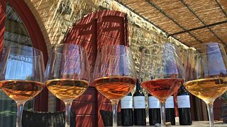 Hinter dem Etikett – Weinprobe und Tour