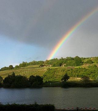 Dégustation de vins populaires au Domaine Viticole Schlink