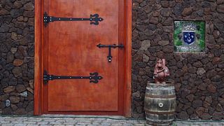 Lower Silesia Wine & Vineyard Tour at Winnica De