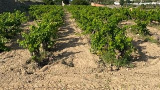 GUIDED TOUR + WINE PAIRING TASTING