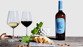 Cata de vinos y recorrido para amantes de los vinos en Ramaddini