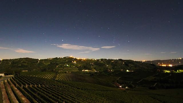 Degustação de vinhos e tour em Matteo Soria