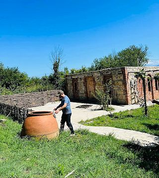 Cata de vinos en la bodega Nikoladze (incluido el transporte desde Kutaisi)