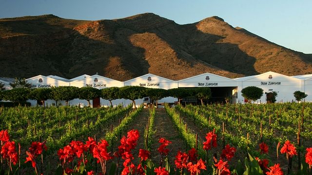 Van Loveren Winery