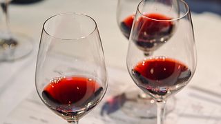 Cata de vinos a ciegas en el Château Bardins
