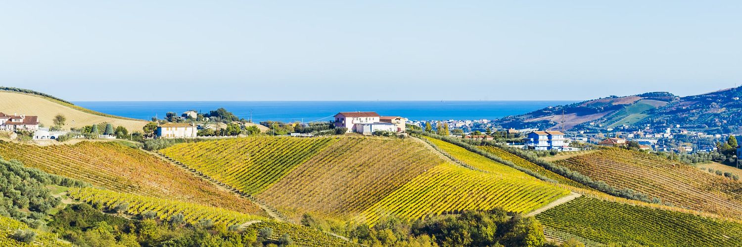 Marche wine region, Marche, Italy