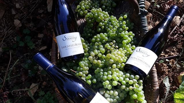 Weinprobe und Tour im Domaine Serrigny Francine & Marie-Laure