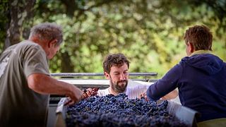 Weinprobe und Tour im Mas Gourdou