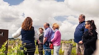 Visite de Saint-Émilion Grand Cru Classé après-midi