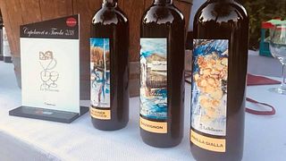 Friuli Wine & Cellar Tour at La Bellanotte