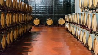 Dégustation de vins haut de gamme et visite au niveau 2 de Leyenda Del Paramo