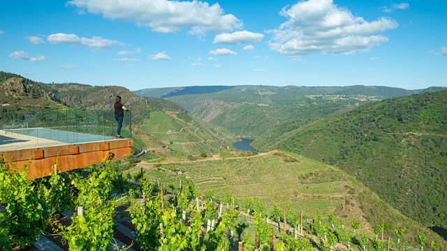 Heroic Wines of Galicia: Ribeira Sacra Tasting