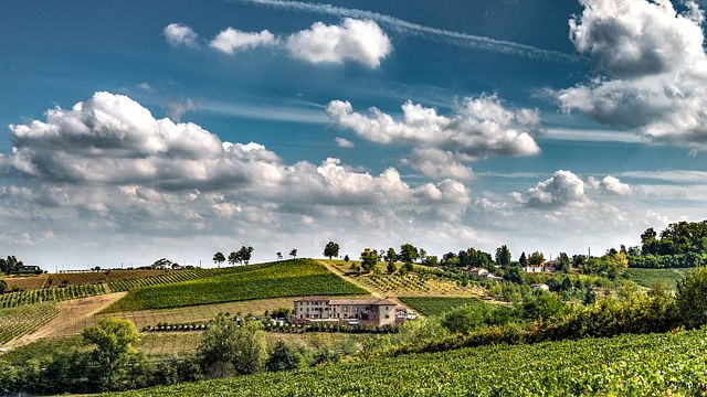Degustação de vinhos e passeio na Cascina Faletta