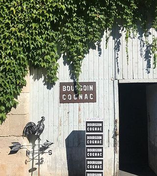 Degustación y visita de coñac en Domain Bourgoin Cognac