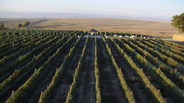 Weinprobe und Tour bei Lindsay Creek Vineyards
