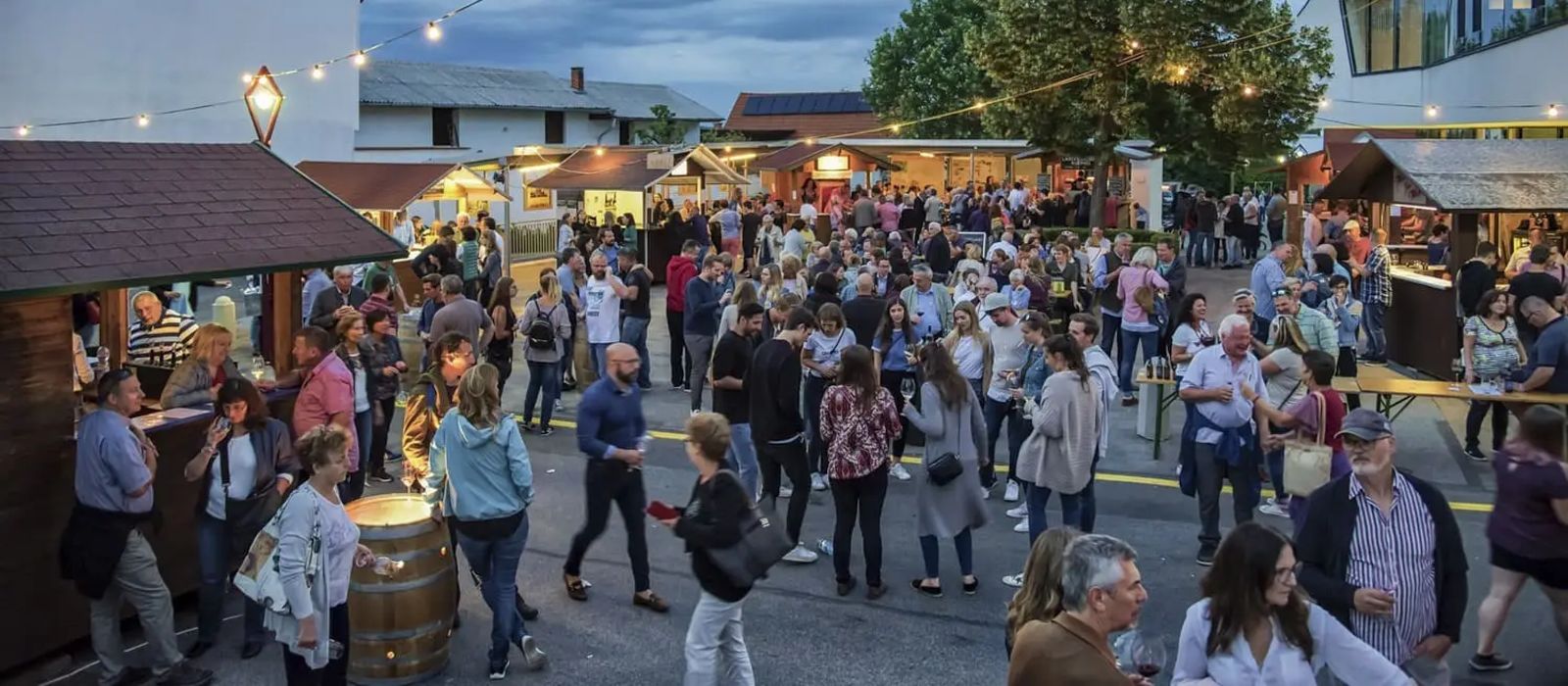 Rotweinfestival-c-Viktor-Fertsak