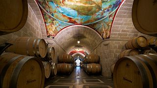 Dégustation de vins et visite chez Mastroberardino