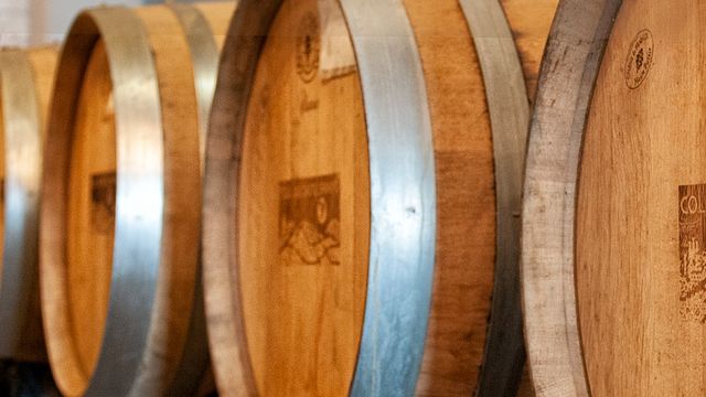 Weinprobe und Tour im Colli Di Castelfranci