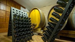 Dégustation de vins et visite de la cave Zalatel