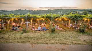 Picknick i Vigna