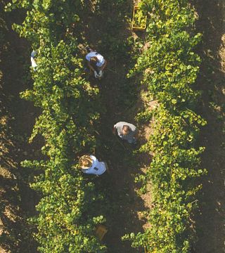 Oinoe - La Città Del Vino