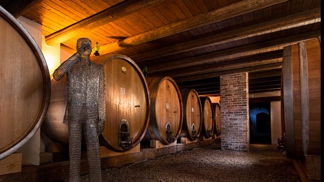 Vinprovning och rundtur på Poderi Gianni Gagliardo