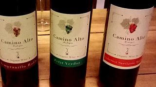Cata y visita de vinos en Bodegas Camino Alto