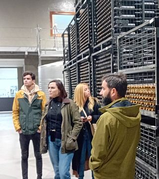 Recorrido por la Ribera del Duero: Tres Bodegas y Almuerzo desde Madrid