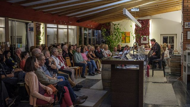 Styrian Wine Bliss: Tasting & Vineyard Views