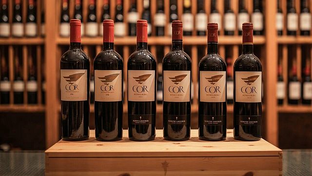 Degustação de vinhos e gastronomia na Tenuta Alois Lageder