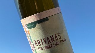 Tour, degustazione e pranzo gourmet di 3 portate