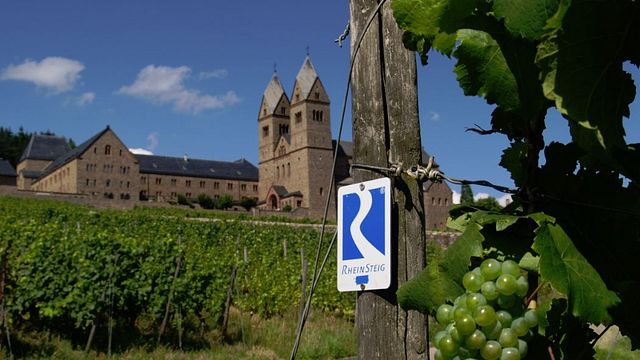 Weingut Werk2